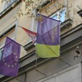Demokratska stranka: SNS aktivisti koji su crtali trobojke na Limanu teško povredili našeg člana