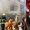 Tuga kod Zaklopače! Buknuo požar u kući, žena uletela u vatru da spasi svoje pse: epilog je strašan