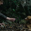 Film „Vetre, pričaj sa mnom“ Stefana Đorđevića od 12. februara u bioskopu Cine Grand Delta Planet u Nišu (VIDEO))