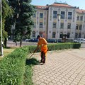 „Mediana“ uređuje grad: Čišćenje, košenje i održavanje zelenih površina na više lokacija u Nišu