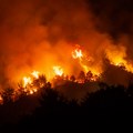 Ogromna šteta nakon požara u Omišu: Procene dostižu 110 miliona evra