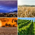 Meteorolog Nedeljko Todorović za Euronews Srbija o vremenu, požarima i suši: Šta nas čeka narednih meseci