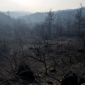 Srpski vatrogasac u Volosu: Odbranili smo jedno stambeno naselje, ponosni smo
