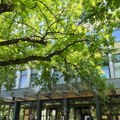 Drama u Novom Sadu: U sud stigla dojava o bombi, demineri na licu mesta