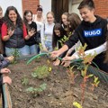 Jestiva i senzorna bašta kreirana u dvorištu Regionalnog centra Niš