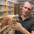(Bez)opasni kućni ljubimci: Šta sve treba da znate o čuvanju i uzgoju zmija
