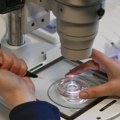 Tužba protiv Ministarstva zbog biološkog materijala: Kakva je sudbina više od 400 embriona u zatvorenoj klinici?