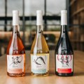 Inovacija iz Agrolagune – prvo hrvatsko bezalkoholno vino
