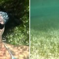 Mislila da je bezbedna na zabačenoj plaži, a onda je usledila drama: Devojka pokazala jezive povrede po telu