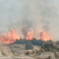 Požar na nasipu u Futogu: Gori nisko rastinje: Vatra zahvatila veliku površinu, širi se gust dim (video)