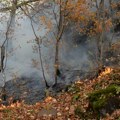 Požar na Tari pod kontrolom: Zahvaćeno pet hektara šume, teren nepristupačan