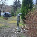 Zavod za zaštitu prirode za N1: Nismo izvršili stručni nadzor Pionirskog parka, a ni dobili izveštaje inspekcije