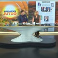 Stručnjaci za Euronews Srbija o novim merama Vlade Srbije: Legalizacija problem decenijama