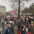 Policija između demonstranata i ograđenog gradilišta u parku Ušće, oboren jedan red ograde