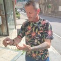 Poznati zmijolovac ponovo intervenisao! Gosti kafića pronašli nepozvanog gosta, Hadži Basur odmah zasukao rukave: "Sićušna je…
