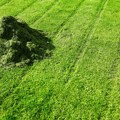 Pre nego što zahladni uradite ovo sa travnjakom: Na proleće će vam trava biti gušća i zelenija