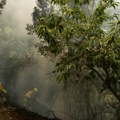 Požar na ostrvu Tenerife: Policija istražuje slučaj, namerno je izazavan