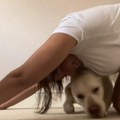 Sve što je htela jeste da odradi trening, ali njen pas imao je drugačije planove: Reakcije pratilaca su urnebesne (video)