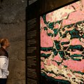 Vođenje kroz izložbu „ALL IN“ u četvrtak, 28. maja u galeriji Neon