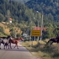 Lepota juga Srbije: Divlji i slobodni