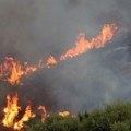 Požari duž alžirske obale proširili se i na Tunis gde temperature dosežu 49 stepeni Celzijusa