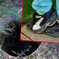 Dečak upao u šaht u Kaluđerici: Vatrogasci ga izvlačili iz rupe duboke 7 metara