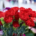 Ove tri biljke nikako ne unosite u kuću Narodna verovanja upozoravaju na nesreću i razdor u porodici!