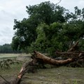 Bizarno drvo palo i teško povredilo baku (86) u Skoplju, na istom mestu odmah posle pronađena bomba!