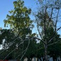 Kikinda: Olujni vetar srušio desetak stabala i deo limene konstrukcije na zgradi