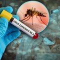 Zaraženi komarci haraju u ovim gradovima: Raste broj obolelih od groznice Zapadnog Nila u Srbiji