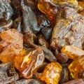 Ćilibar sa morskog dna mogao bi da sadrži tragove cunamija od pre 115 miliona godina