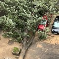 Superćelijska oluja napravila milionsku štetu: Posle nevremena radnici u komunalnim preduzećima imali pune ruke posla