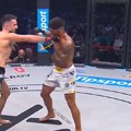 Novak brutalno nokautirao "srpskog Nemca"! Posle ovog poteza se "zapalila" atmosfera
