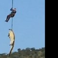 Postoji jeziv razlog zašto ovaj krokodil nije mogao da potone: Policija je iz njegovog želuca izvukla ljudske udove i dokaze o…