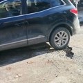 JKP Šumadija zove Kragujevčane da prijave gde su udarne rupe