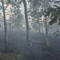 Gust dim nad Suvom planinom: U Srbiji aktivno više od 30 požara