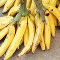 Banane, koliko dnevno smemo da ih pojedemo i da li su zaista zdrave