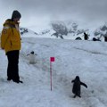 Snimak sa Antarktika koji će vam ulepšati dan: Budite strpljivi i fini kao ovaj mali pingvin (video)