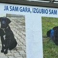 Zakupio bilbord da nađe svog Garu Novosađani u potrazi za psom, za gazdu "nema cenu"