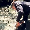 Ovčije bunde će na seosku deponiju