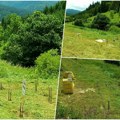Evo koliko košta plac kod Zaovinskog jezera na Tari: Ima temelj za kuću, a struja i voda prolaze pored parcele