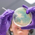 Veštačka inteligencija dizajnira nove antibiotike: Naučnici traže oružje protiv super-bakterija
