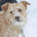 Први снег и у Београду: РХМЗ упозорава и на ледену кишу