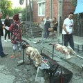 Đurđevdan u Kragujevcu: Tradicionalna proslava u romskim naseljima