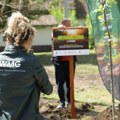 Prvi Miyawaki zasad u Srbiji realizovan u Aleksandrovu u okviru projekta “Zasadi drvo”