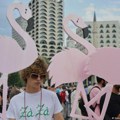 Raste zabrinutost u EU zbog Kušnerovog projekta u Albaniji