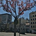 Kiša i sunce na smenu širom Srbije
