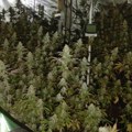 MUP: Pronađena laboratorija za uzgoj marihuane i zaplenjeno sto grama kokaina