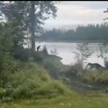 Oči u oči sa medvedom: Član ruske delegacije snimio bliski susret na Aljasci pred sastanak Trampa i Putina (VIDEO)