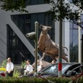 Akcije CXMT-ja skočile za 535 odsto posle spektakularnog IPO-a